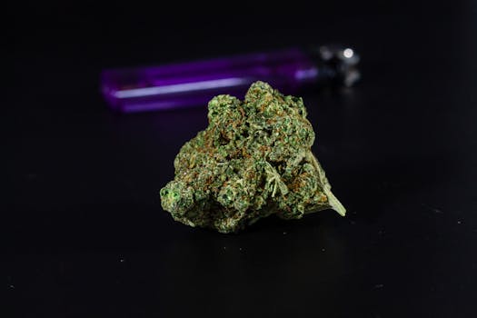 Exploring THC's Impact in Medicine: Benefits, Risks, and Uses