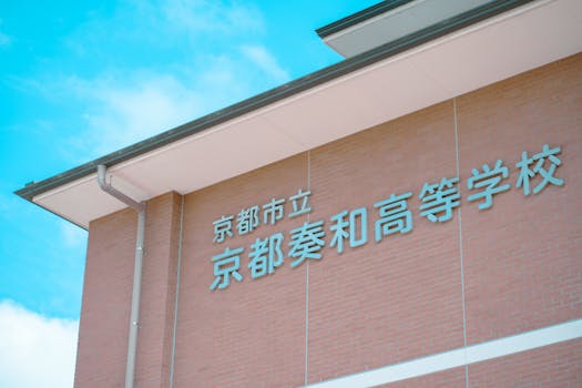 Exploring OOHC: Unveiling Safety Concerns and Regulatory Gaps