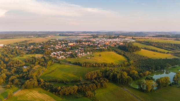 Navigating Hemp Laws in the Czech Republic: A Comprehensive Guide