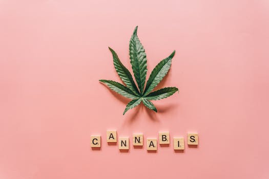 Unlocking Creativity: Does Cannabis Really Boost Artistic Expression?