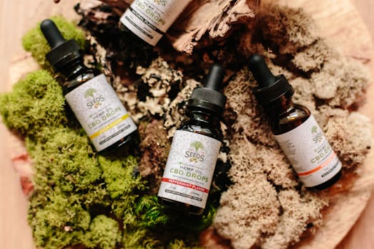 Explore the Best Hemp Oil: Essential Guide to Selecting Quality Products