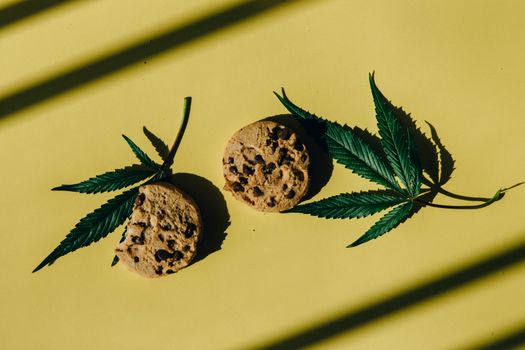 Cannabis in the Kitchen: Unveiling Its Impact on Flavor and Cooking